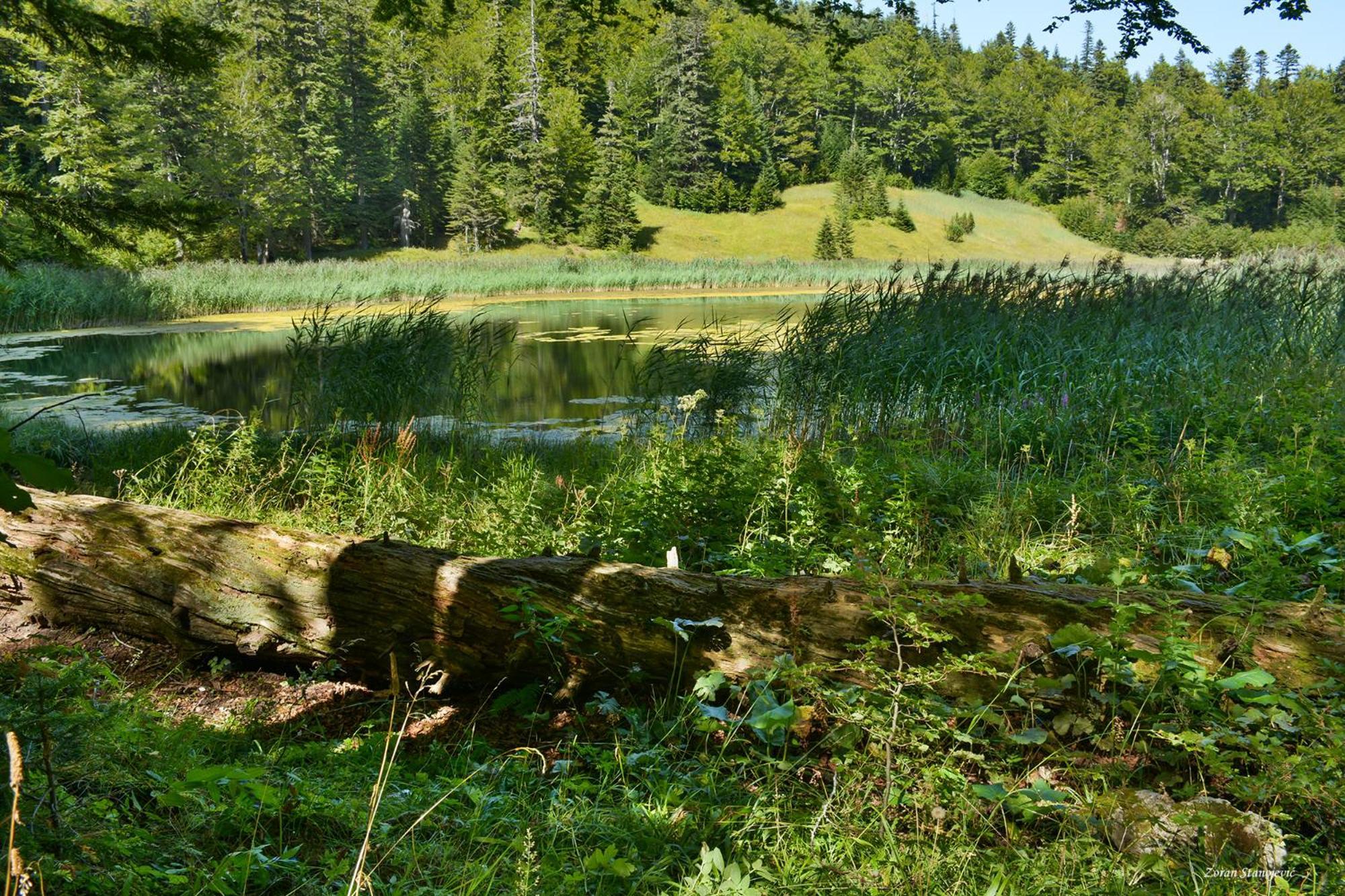 Готель Camp Divlja Rijeka Hum Екстер'єр фото