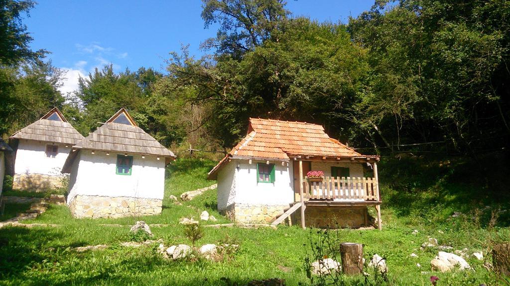 Готель Camp Divlja Rijeka Hum Екстер'єр фото